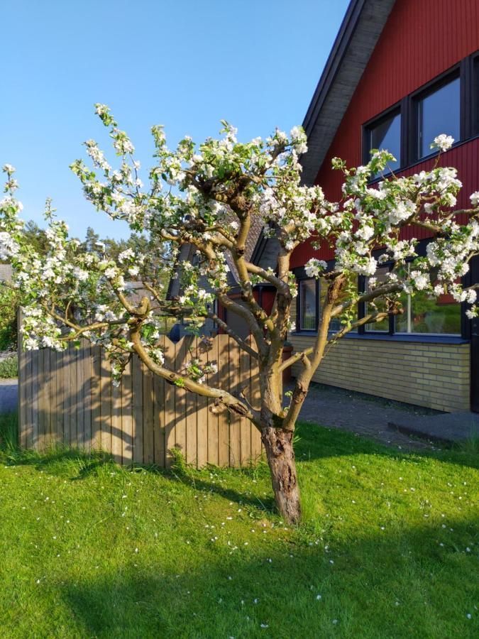 Hus i Åhus/Äspet uthyres. – bild 18 av 19