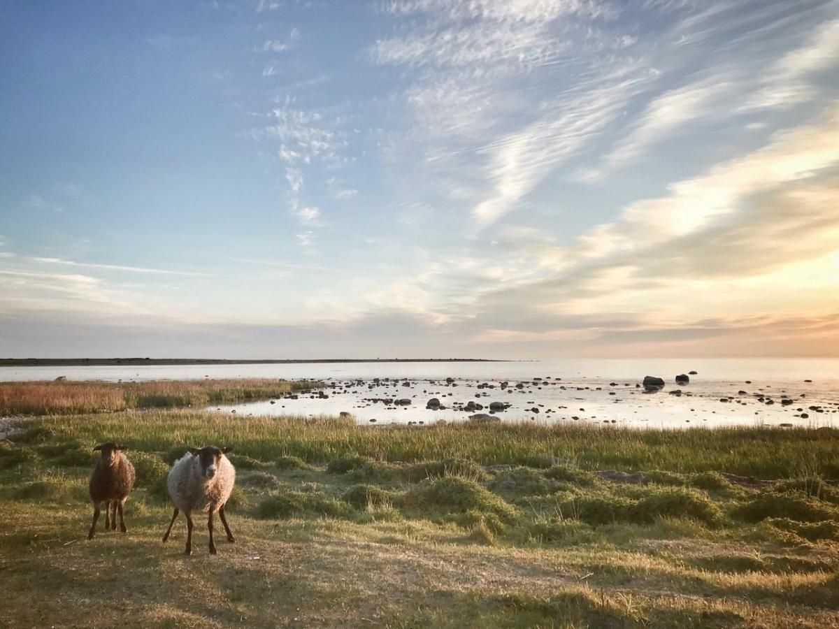Fint och fräscht fritidshus i Kovik nära havet – bild 20 av 21