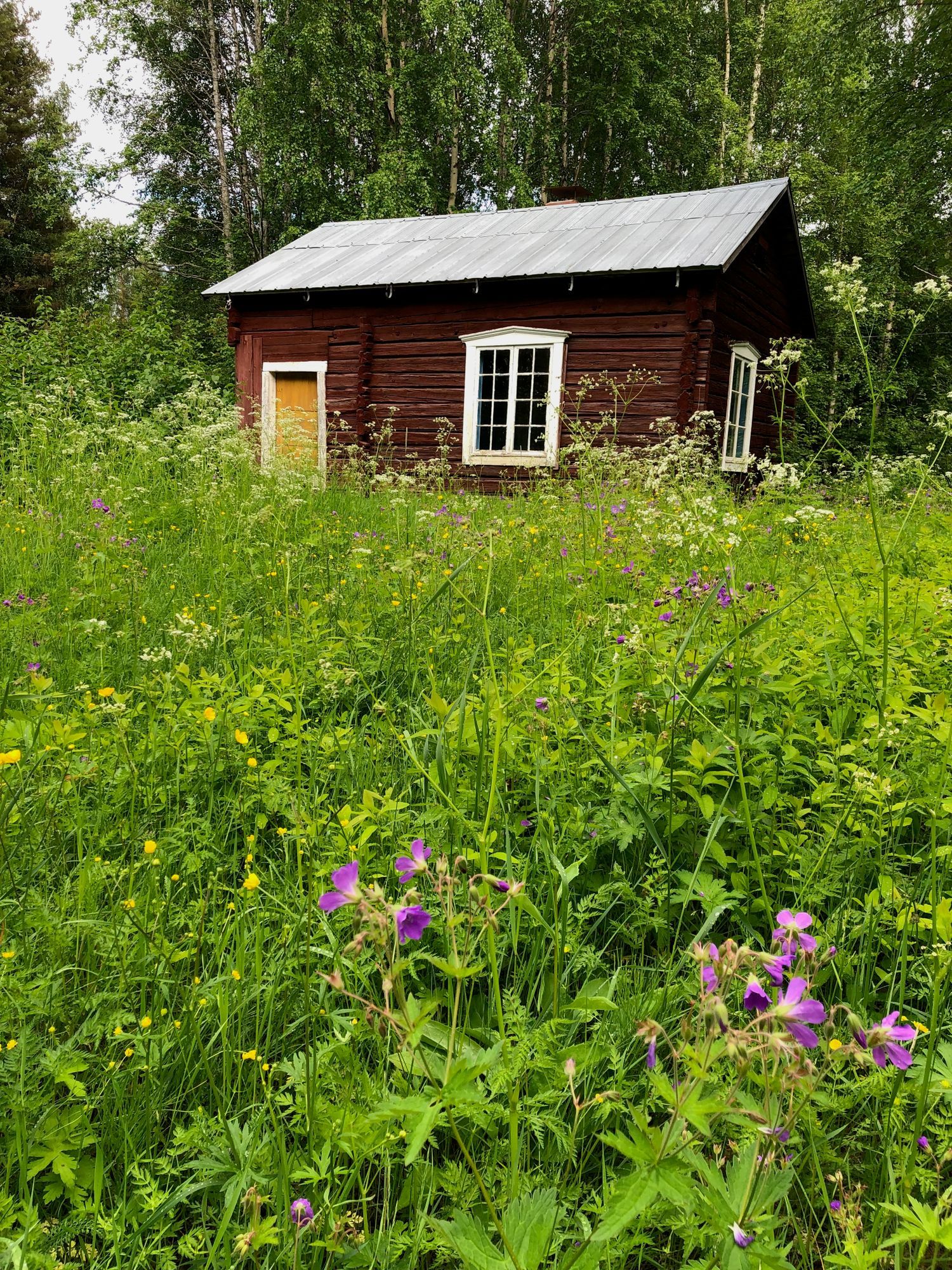 Mysig Sommarstuga utanför Näsåker – bild 12 av 12