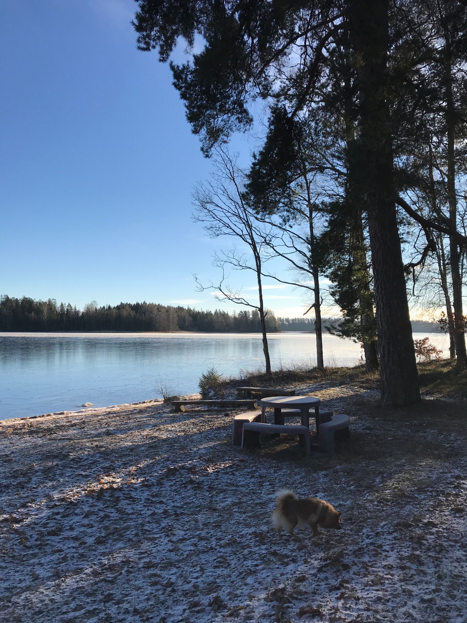 Stuga med bastu/grillplats/Weekend – bild 15 av 24