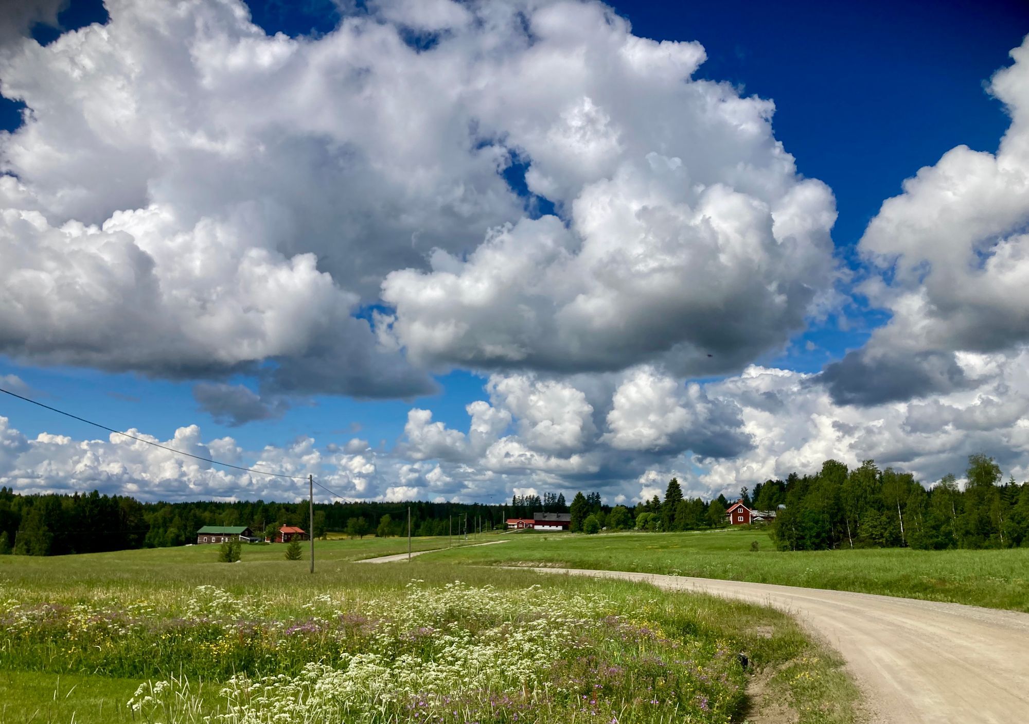 Semesterhus i Bergsjö – bild 7 av 24