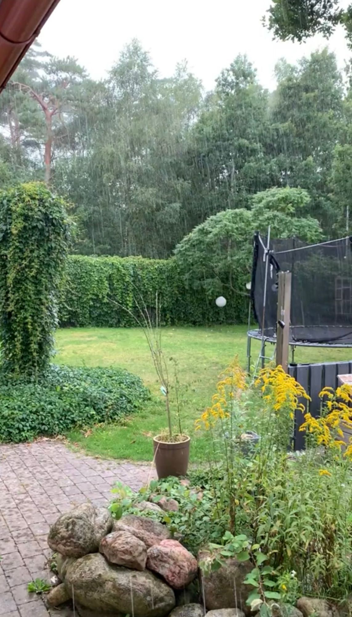 Hus med pool & gästhus i Haverdal upp till 10 pax – bild 7 av 10