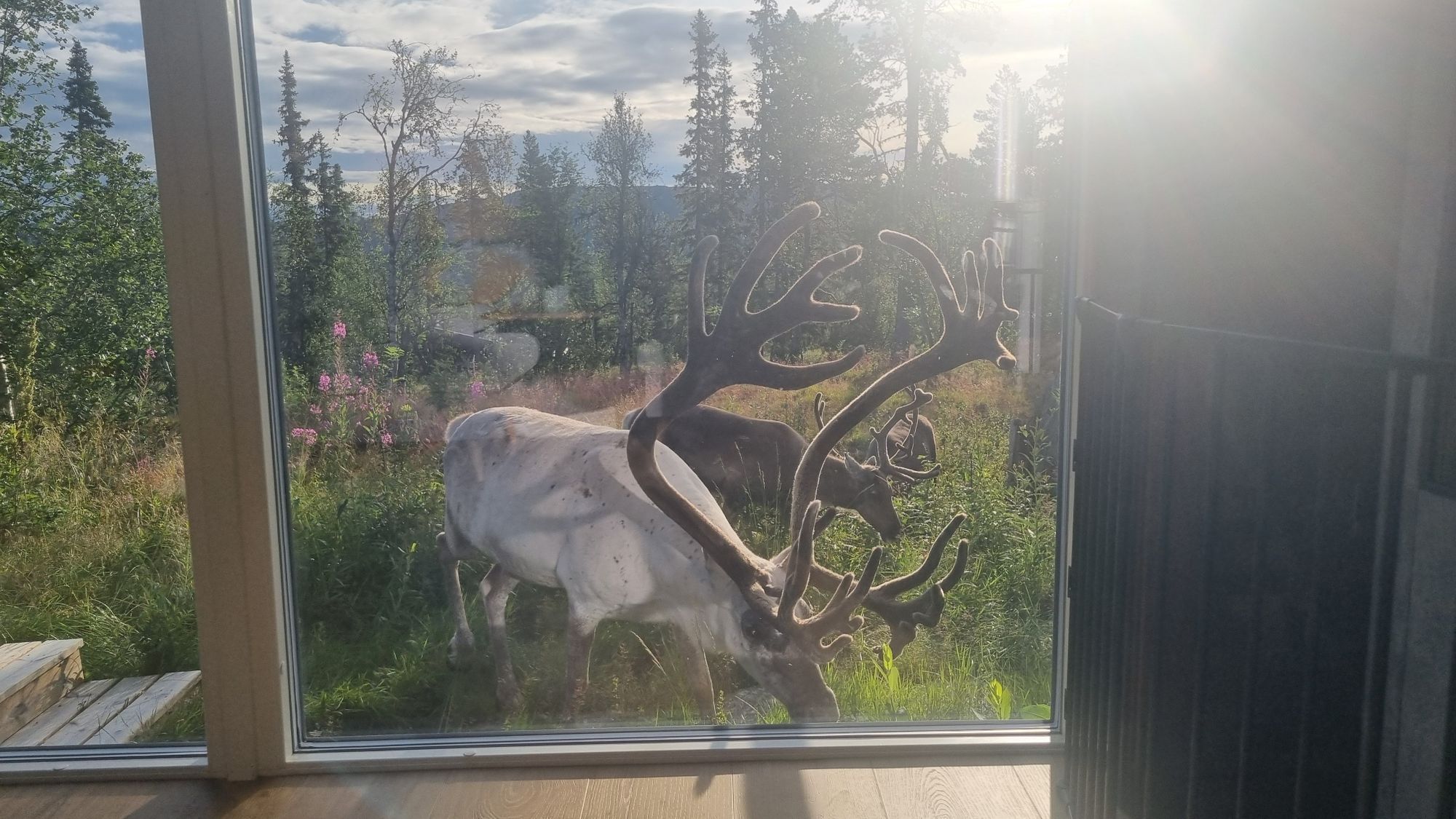 Stuga i Funäsdalen med 9 + 4 bäddar #30461 – bild 23 av 24