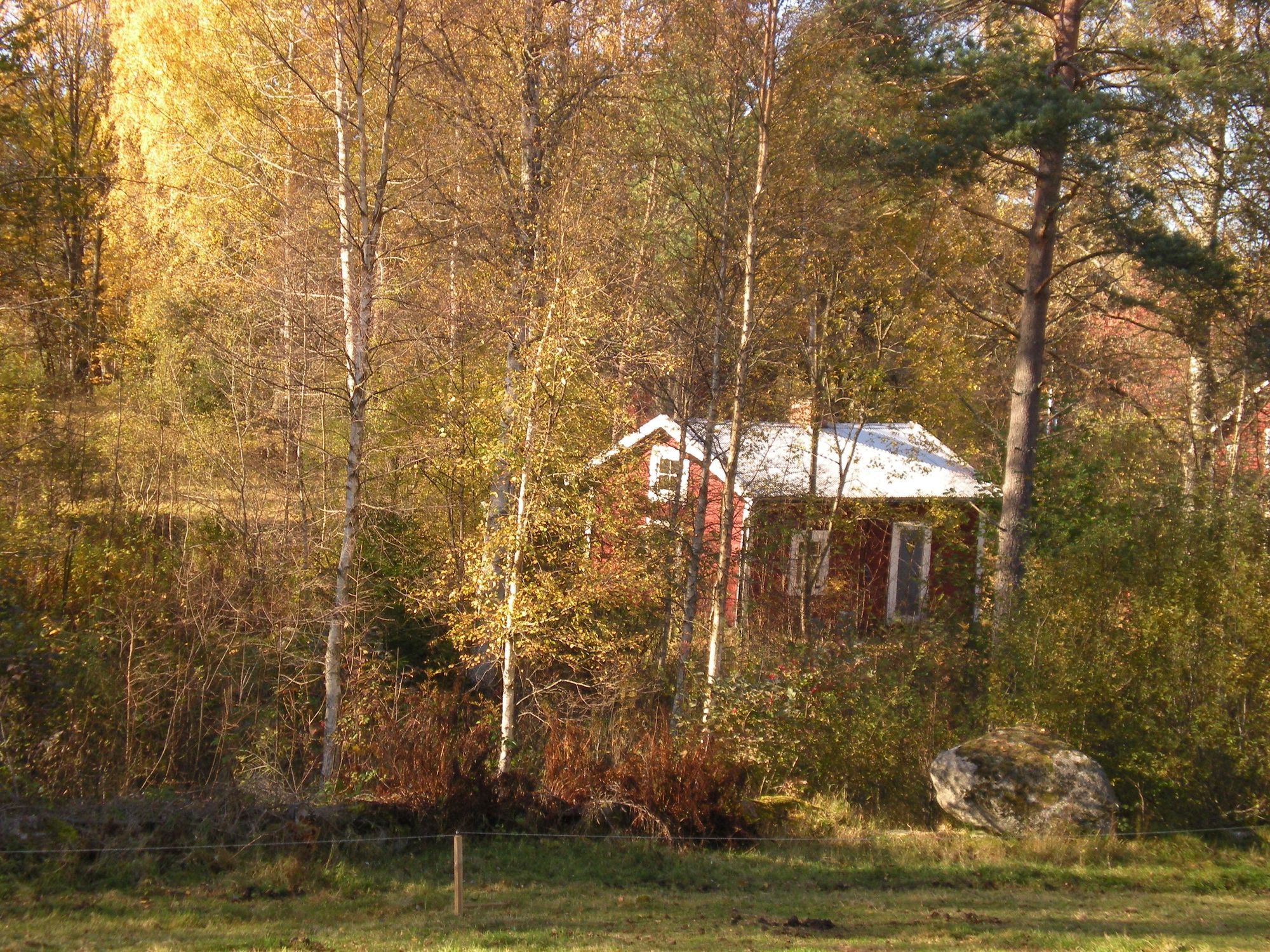 Lilla Rödjorna nära Tivedens National Park – bild 8 av 23