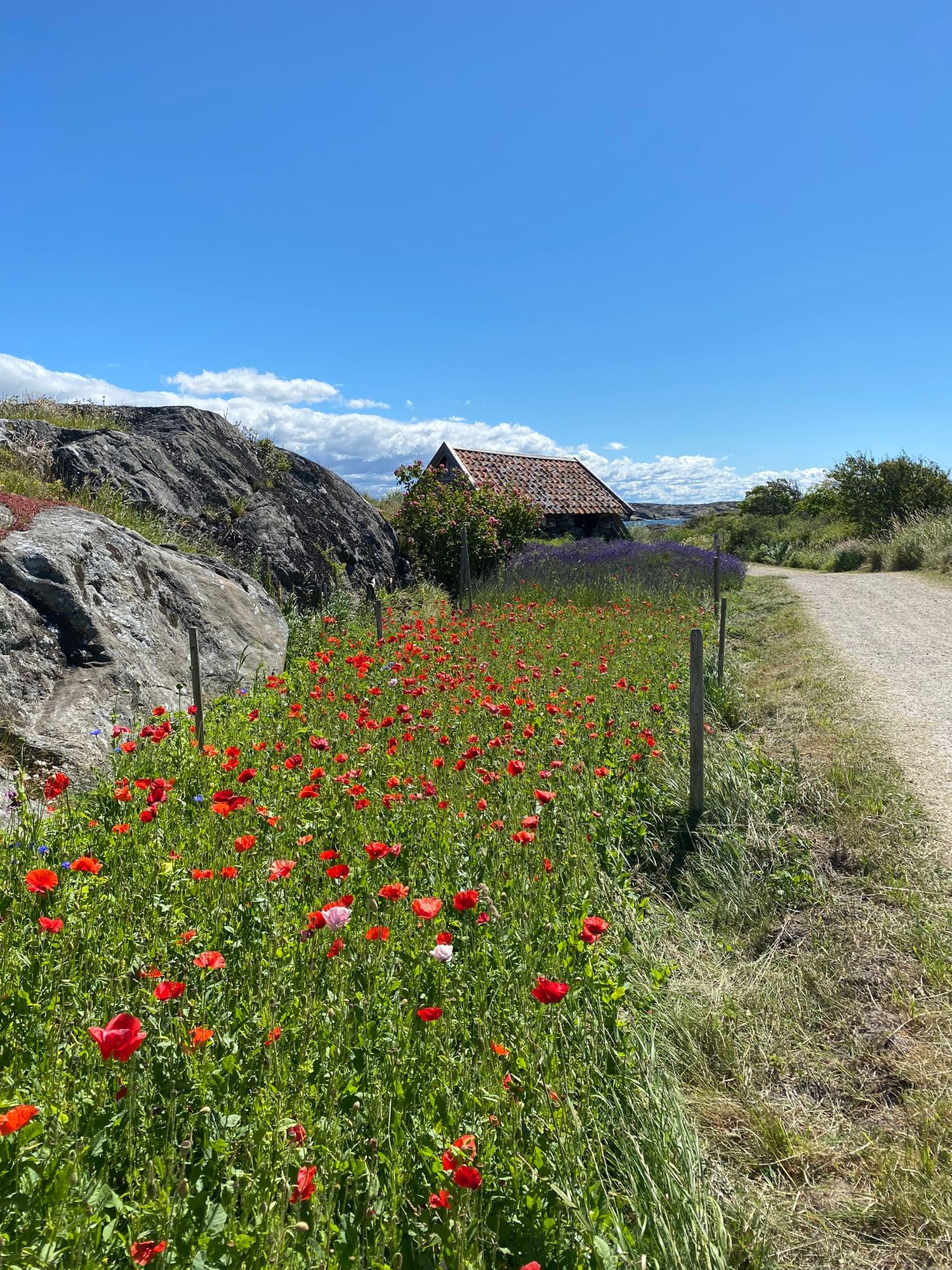 Charmigt hus med sjöutsikt på Gullholmen – bild 10 av 24