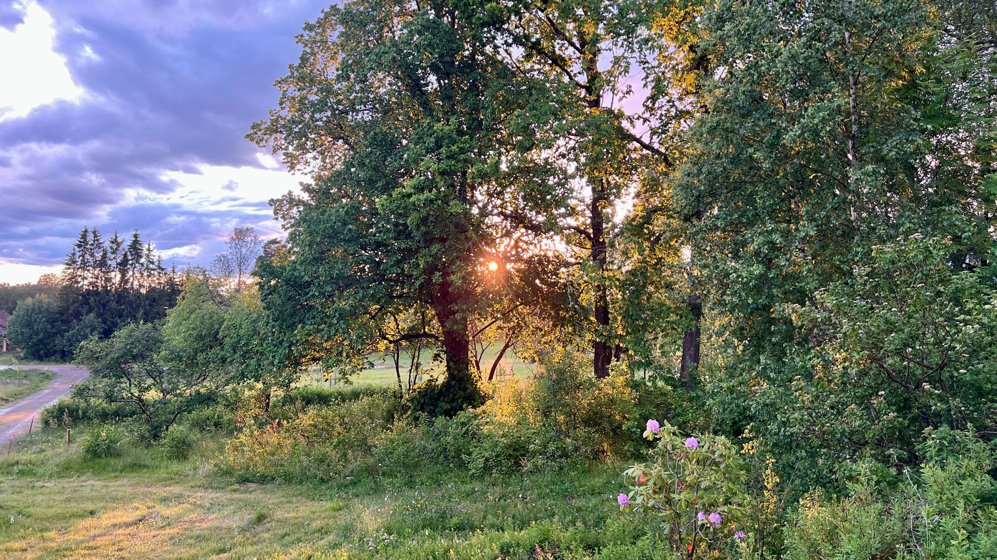 Mysig timmerstuga med kamin i södra Värmland – bild 20 av 24