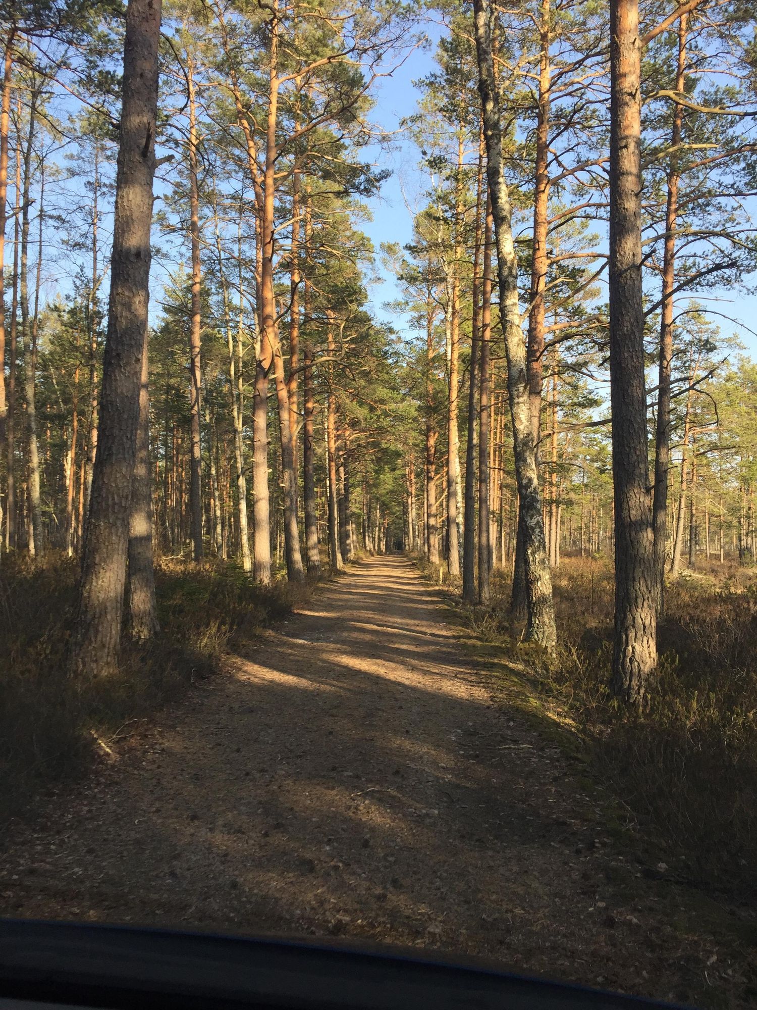 Sjöläge i Värmland – bild 6 av 7