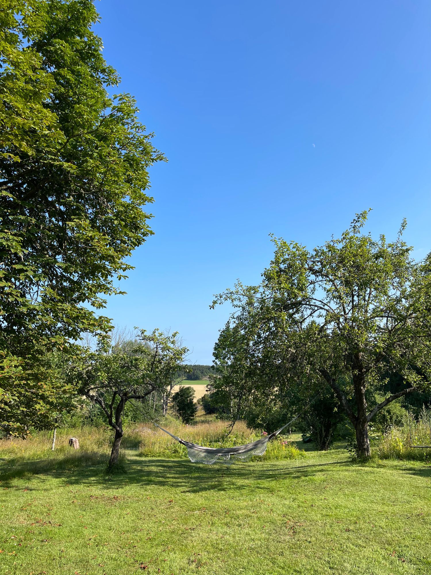 Fantastiskt hus i St Annas Skärgård /Vikbolandet. – bild 7 av 24