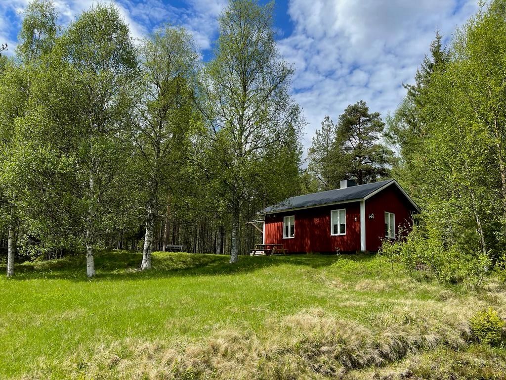 Mitt i Naturen
