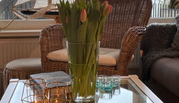 SÖDRA GOTLAND BURGSVIK