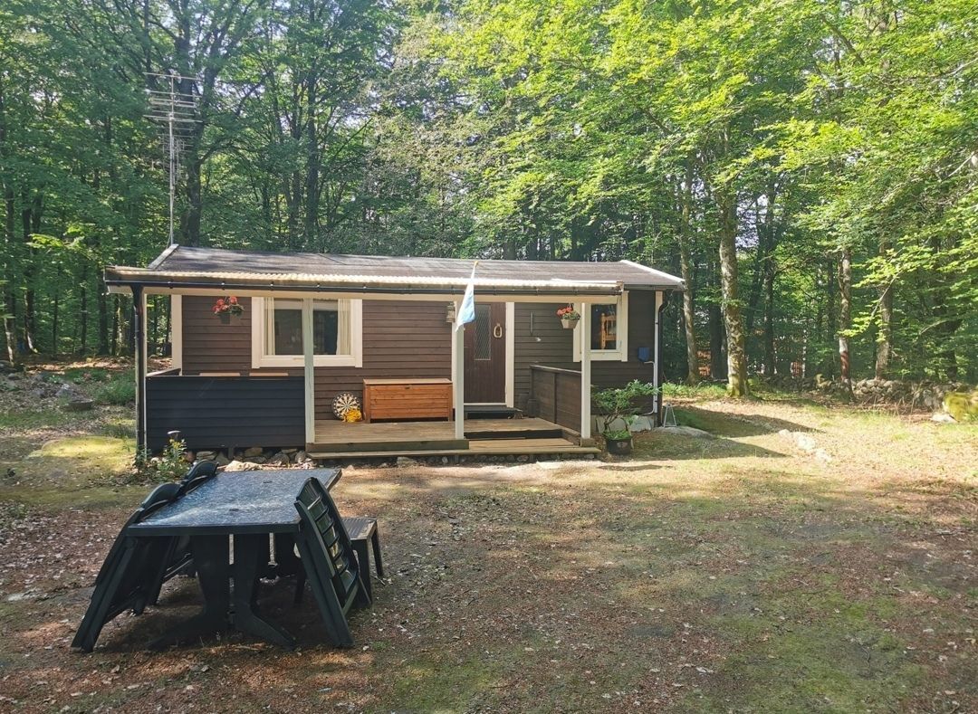 Mysig stuga mitt i bokskogen och stenkast från sjö – bild 2 av 24