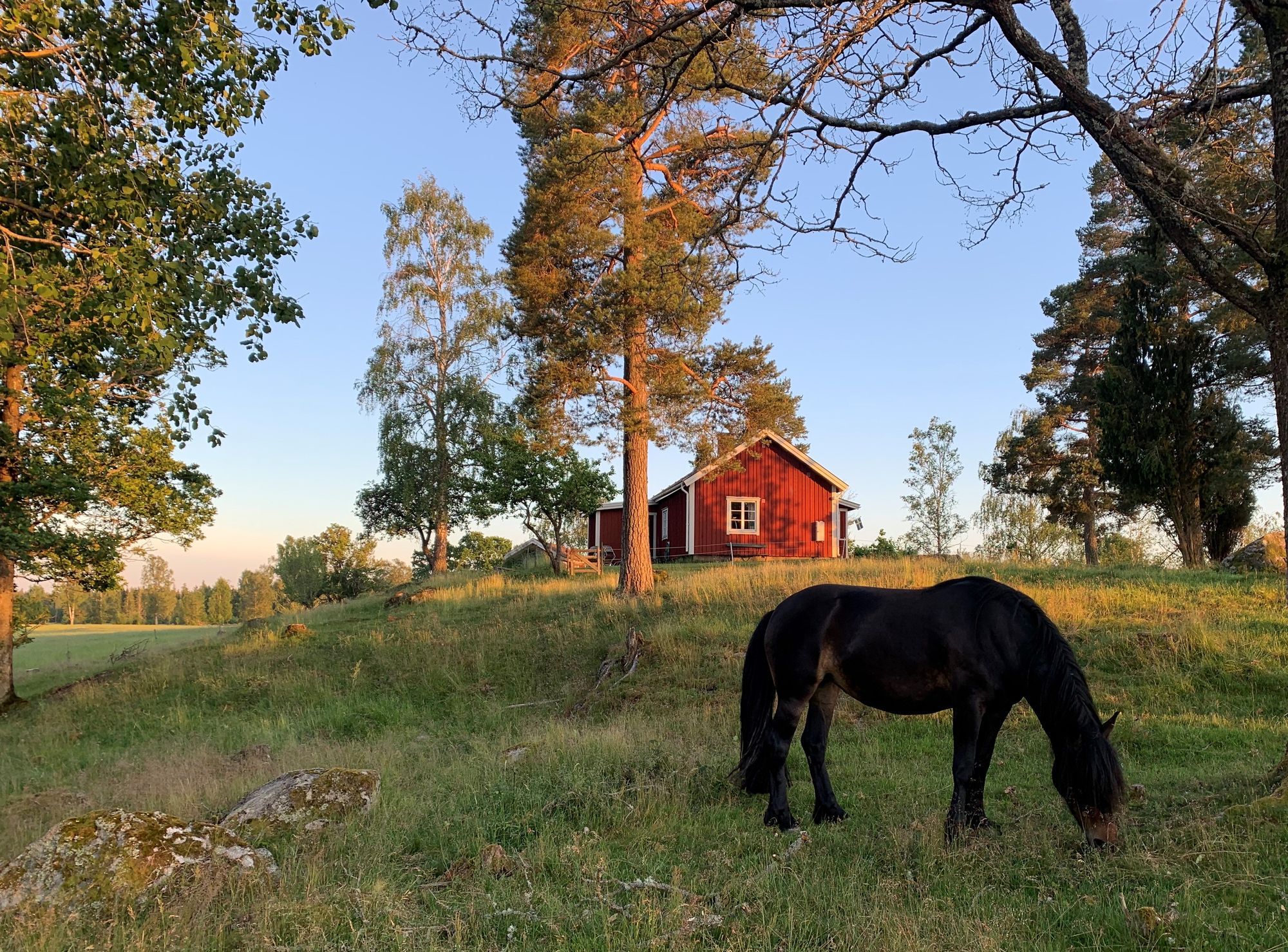 Charmig stuga med sjöläge - Smålandsidyll! – bild 20 av 24