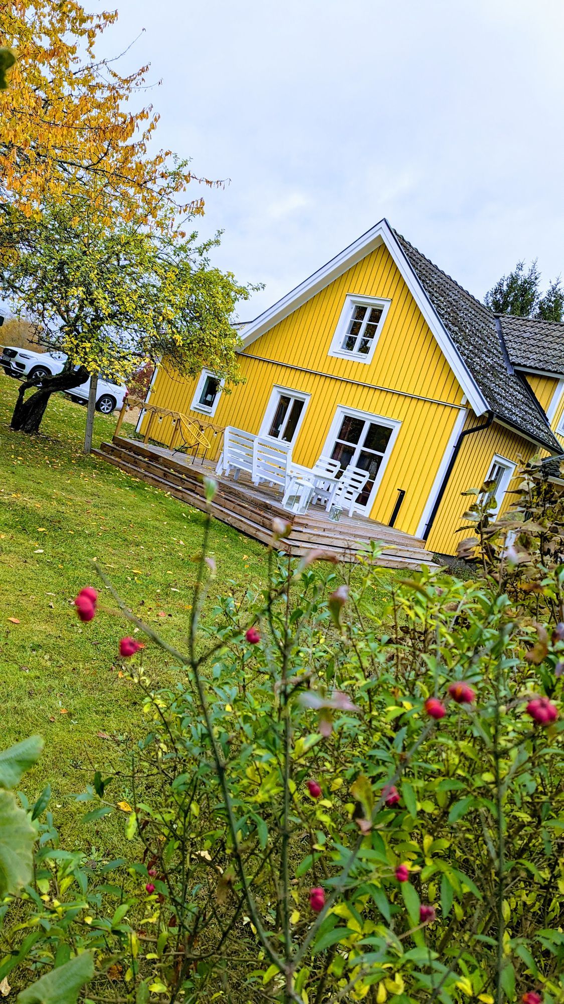 Mörlunda fruktträdgård