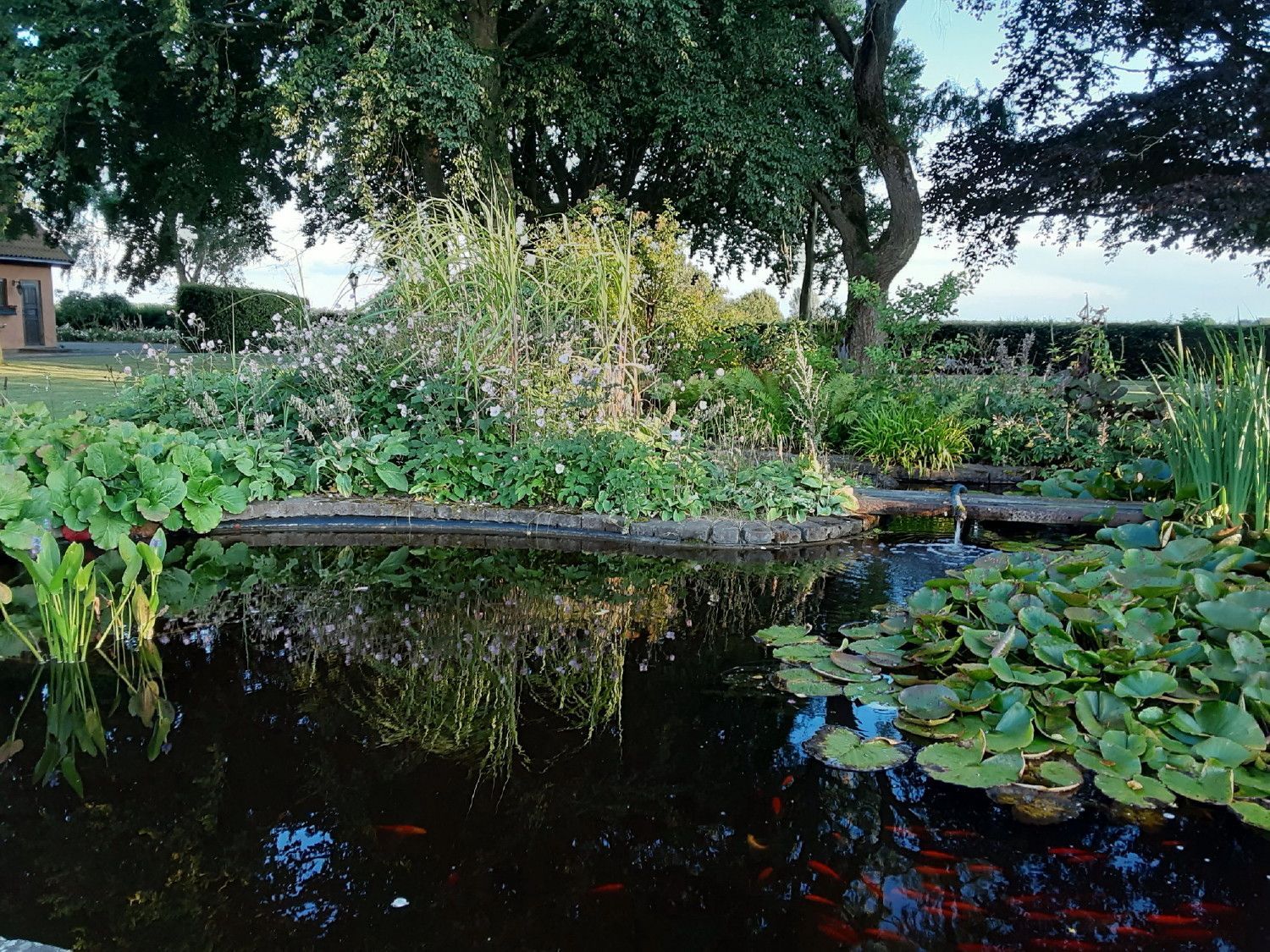 Havsnära lägenhet Österlen, Sandby, Mälarhusen – bild 15 av 24
