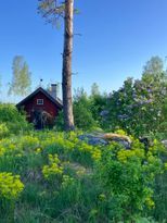 Rustic Swedish Stuga – Escape to Simplicity