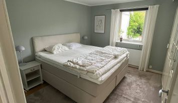 Hus när sjö, skog, centrala Göteborg och Liseberg