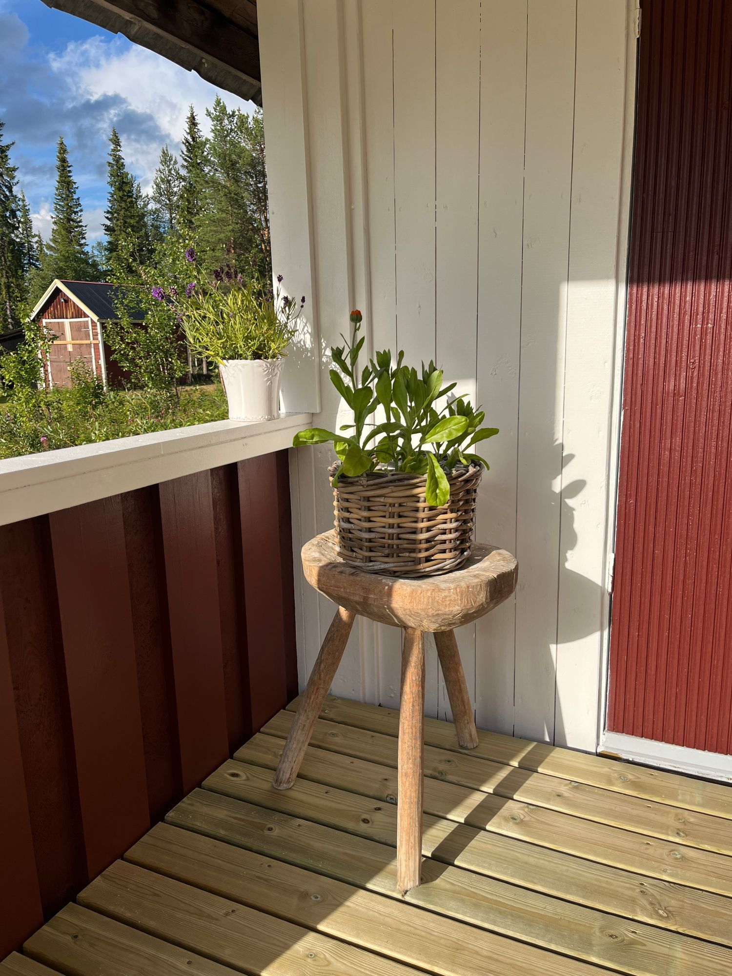 Mysig stuga i svenska Lappland – bild 6 av 17