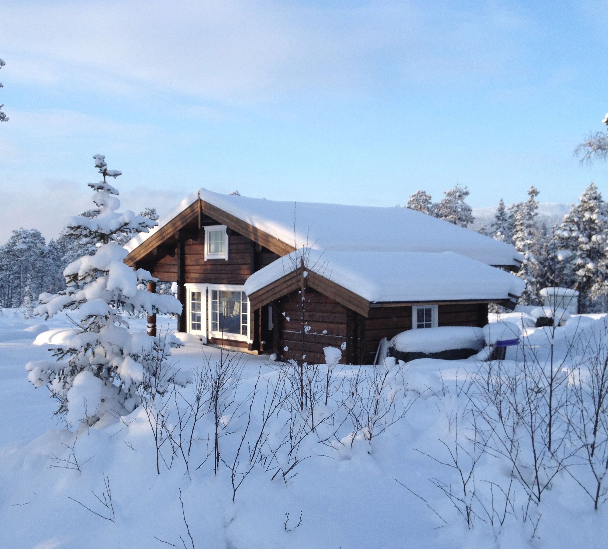 Mysig Timmesrstuga, 100 m til ski in/out