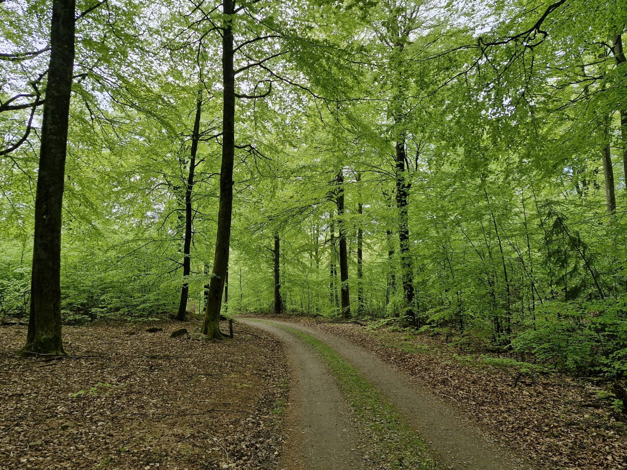 Retreat Kerstins stuga – bild 19 av 24