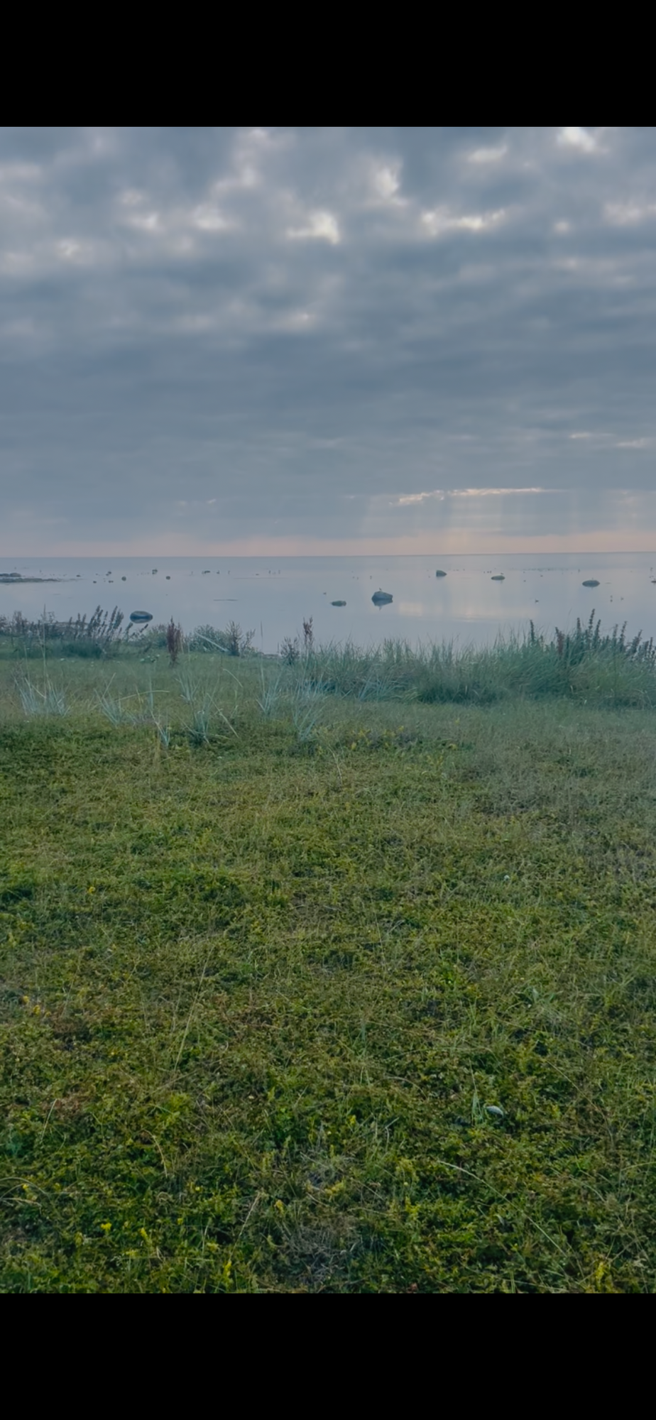Strandnära gäststuga – bild 12 av 12