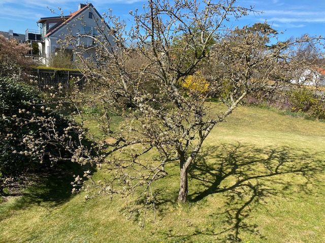 Relax i Domsten nära havet och naturreservat – bild 21 av 24