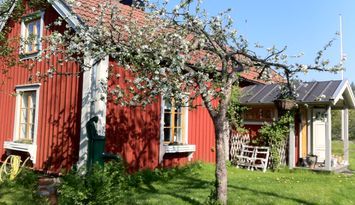 Sommaridyll i 1700-talshus i Roslagen