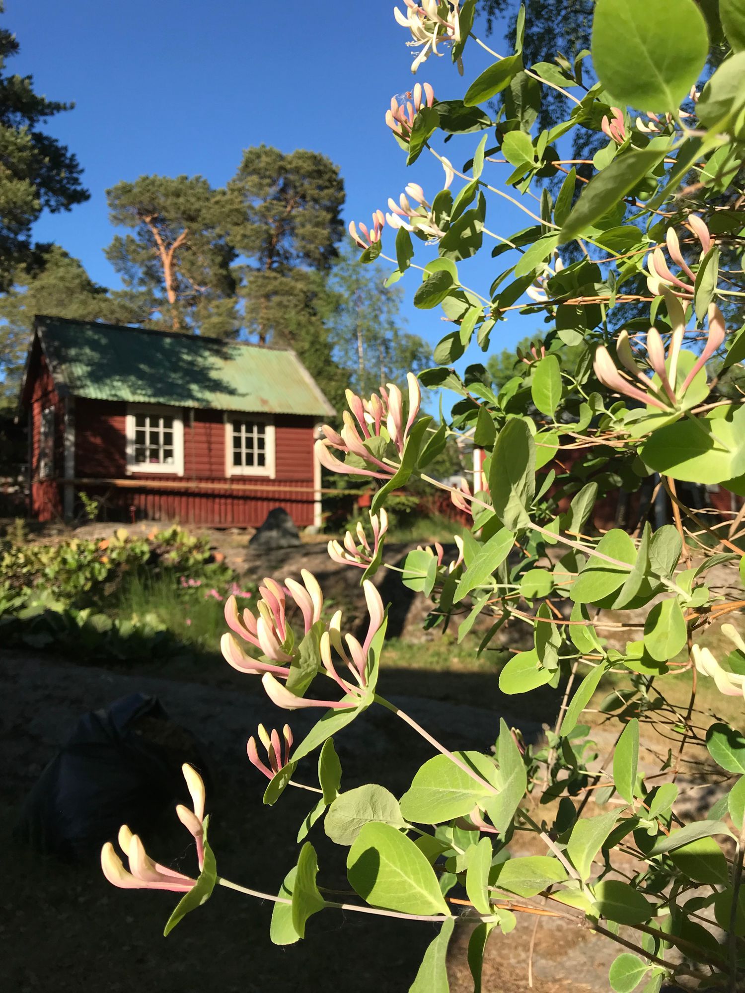 Sjönära Skarpö, Vaxholm, Stockholm, skärgården – bild 8 av 24
