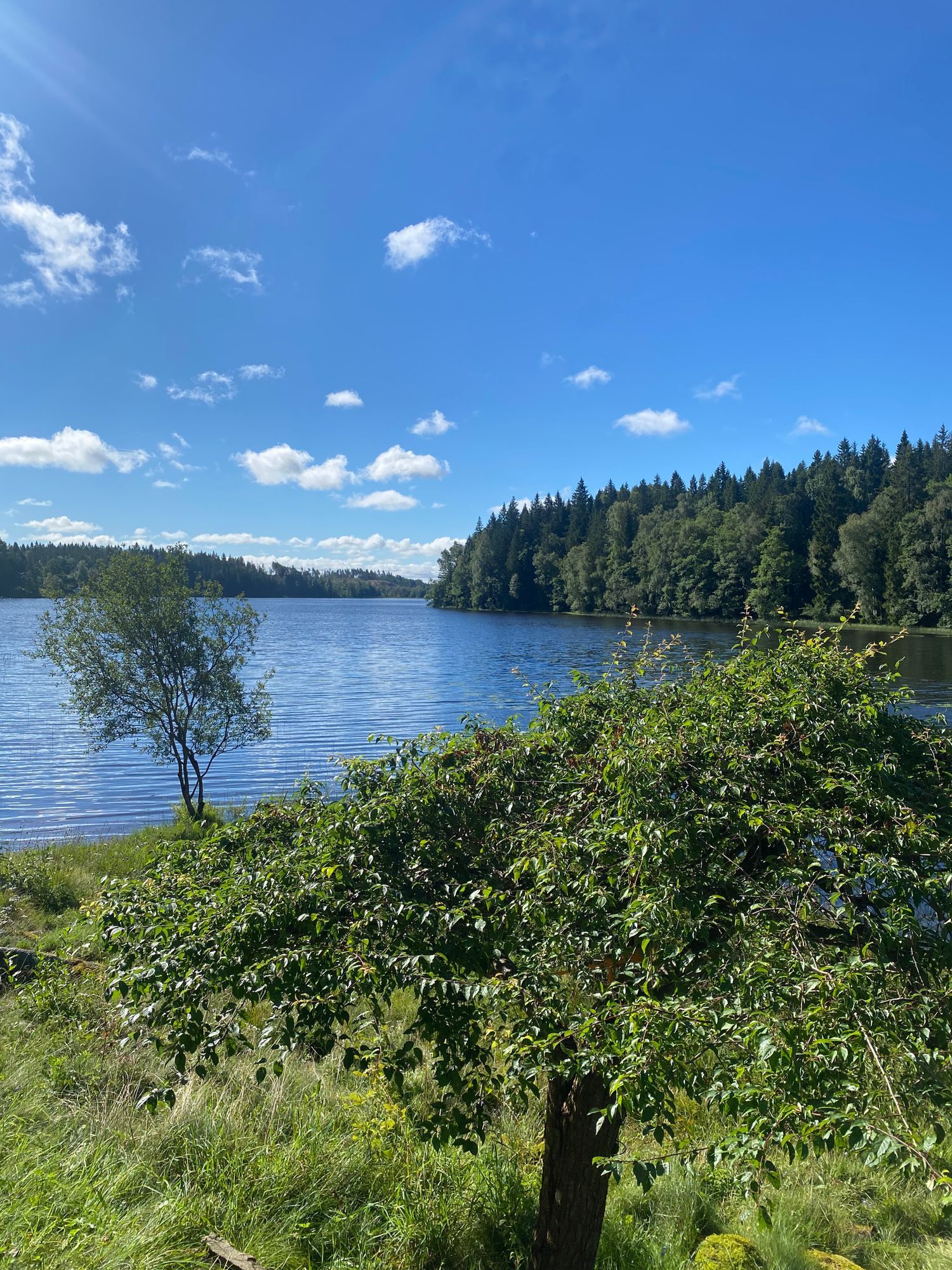 Unikt Fritidshus med egen sjötomt. Västkusten – bild 3 av 12