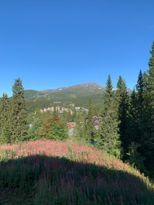 Åre Björnen 6 bäddar sommar i fjällen