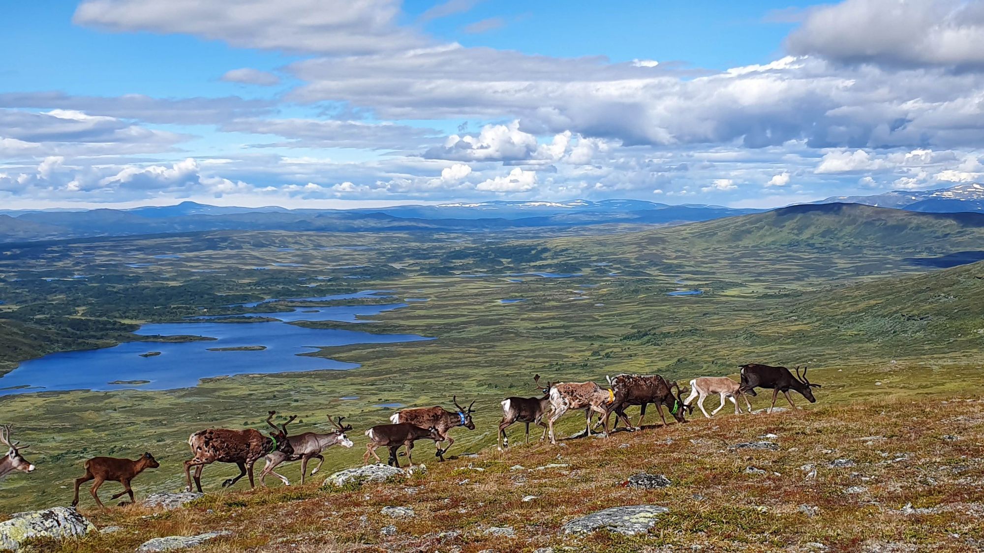 Mysig fjällstuga med härlig utsikt i Tänndalen – bild 7 av 7