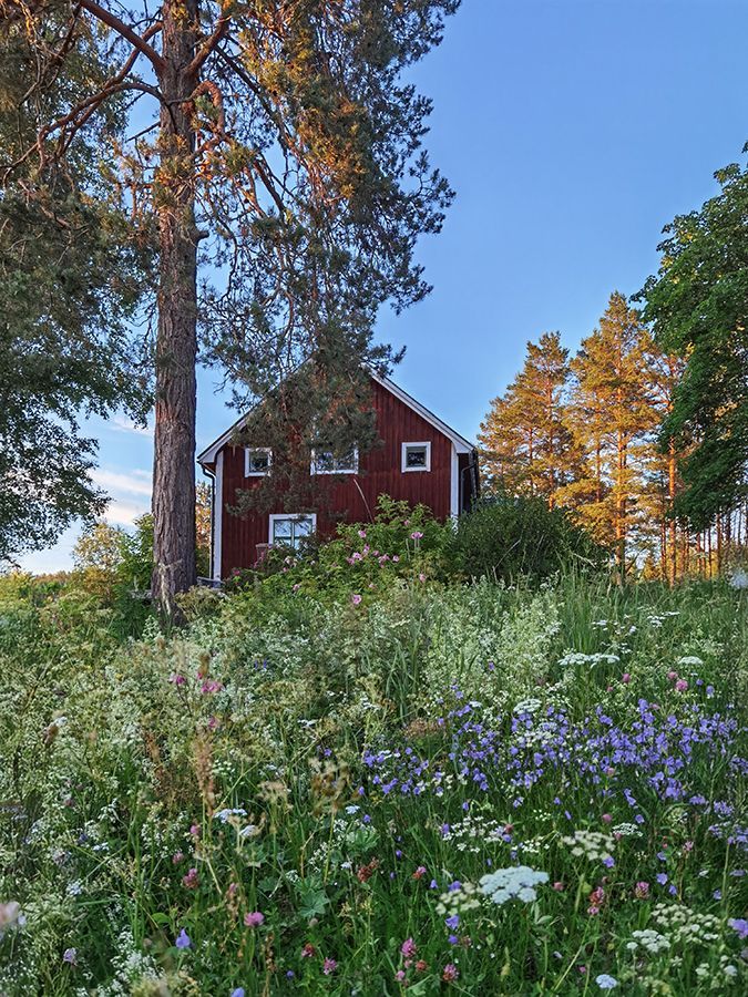 Torp med högt, tyst & soligt läge – bild 19 av 24