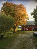 Gotland country side