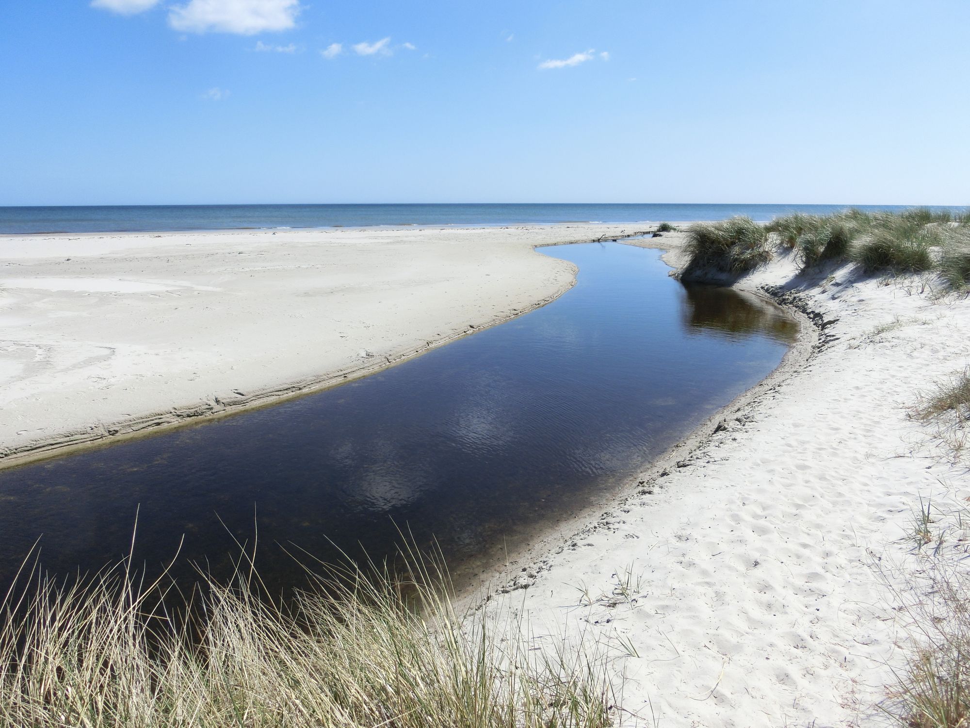 Havsnära stuga på Österlen, Sandby, Mälarhusen – bild 16 av 23