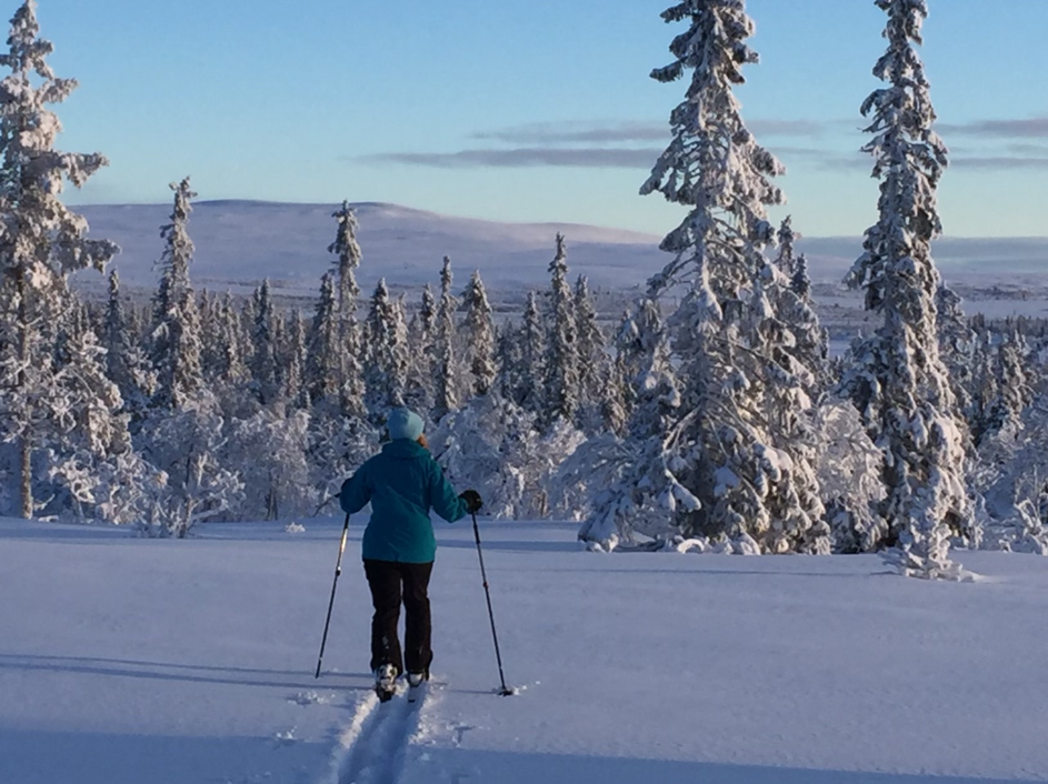 VÄLKOMMEN TILL FJÄTERVÅLEN – bild 10 av 10