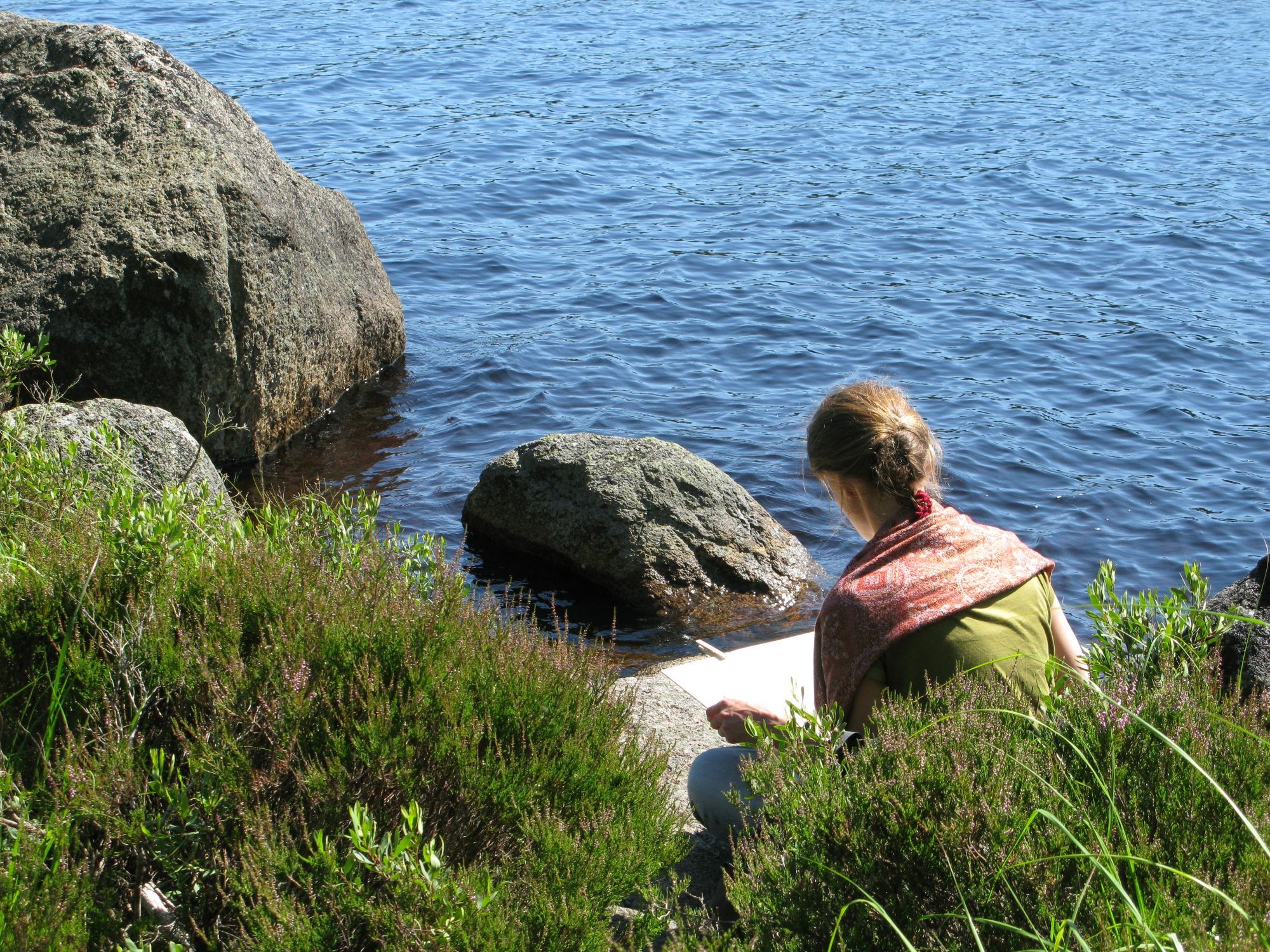 Lilla Rödjorna nära Tivedens National Park – bild 17 av 23