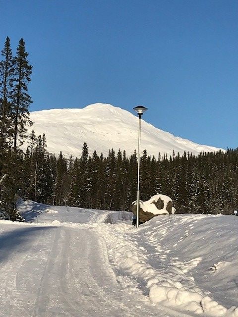 Ski in/ski out lägenhet i Sadeln – bild 10 av 14