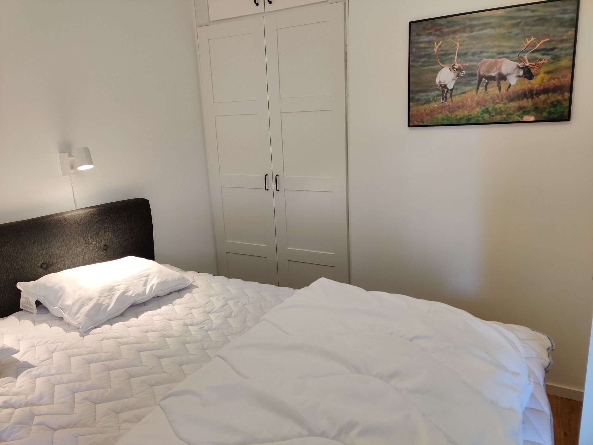 Booking in Borgafjäll - Stugor uthyres vid backen – bild 8 av 24