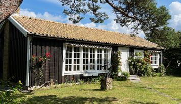 Sommarstuga vid stranden