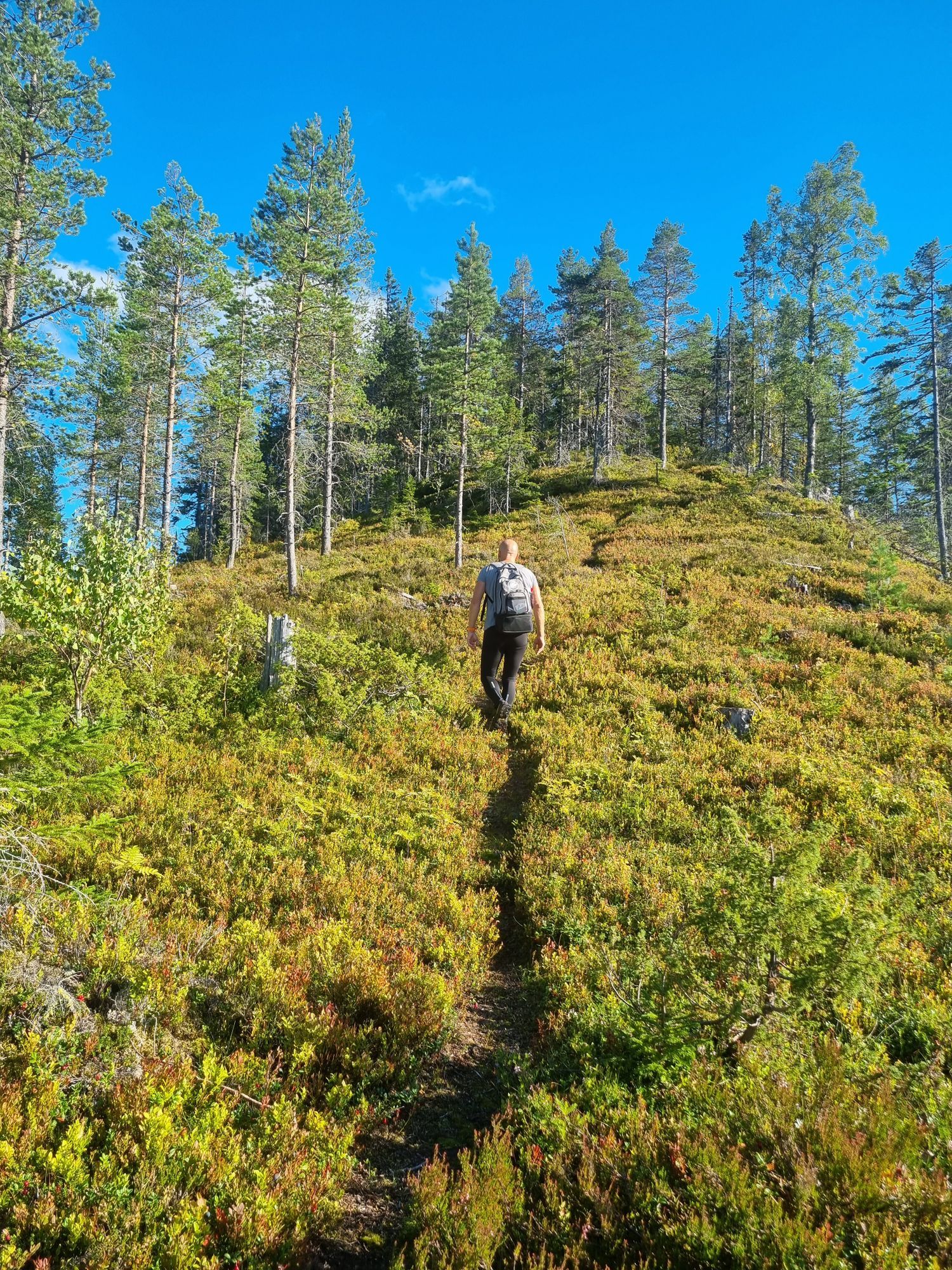 Mysig stuga i Gopshus längs Vasaloppsspåren – bild 22 av 24