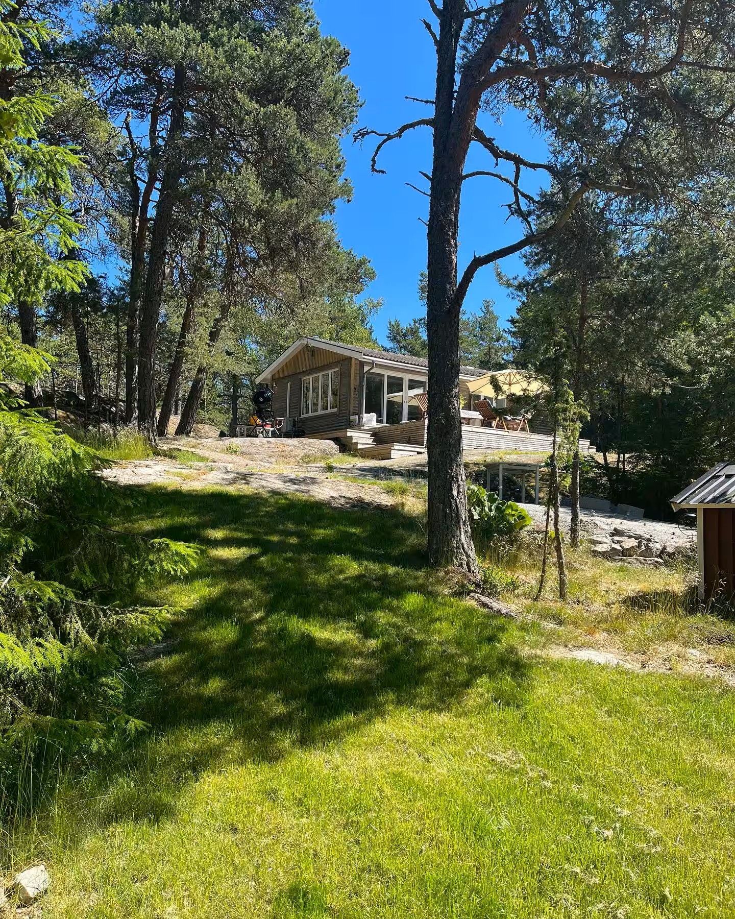 Modern och mysig stuga i skogen