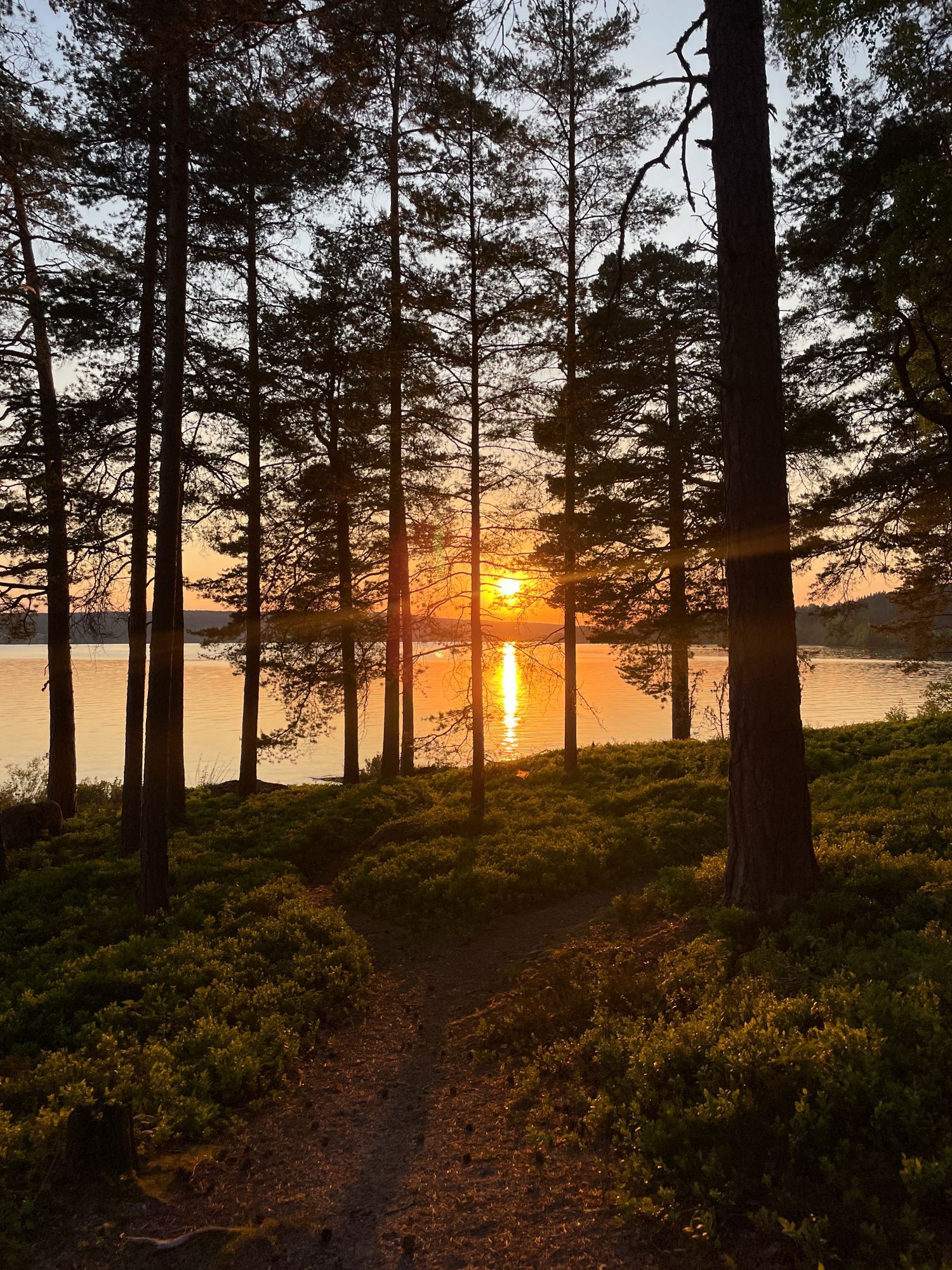 Sommaridyll vid Norasjön! – bild 4 av 11