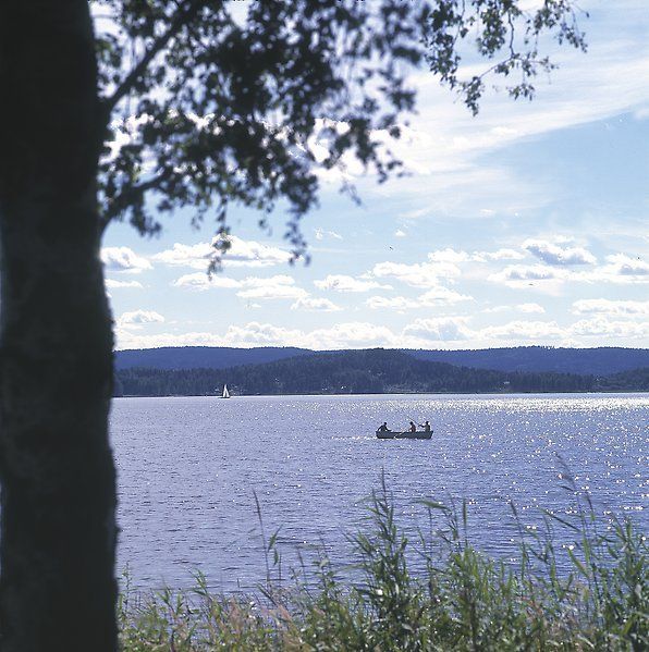 Kräftskiva, Höstlov eller Jul i Arvika? – bild 3 av 16