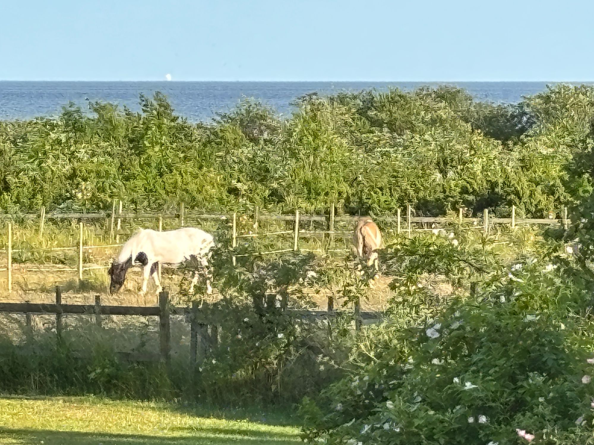 Stort hus vid havet på sydöstra Gotland – bild 2 av 19