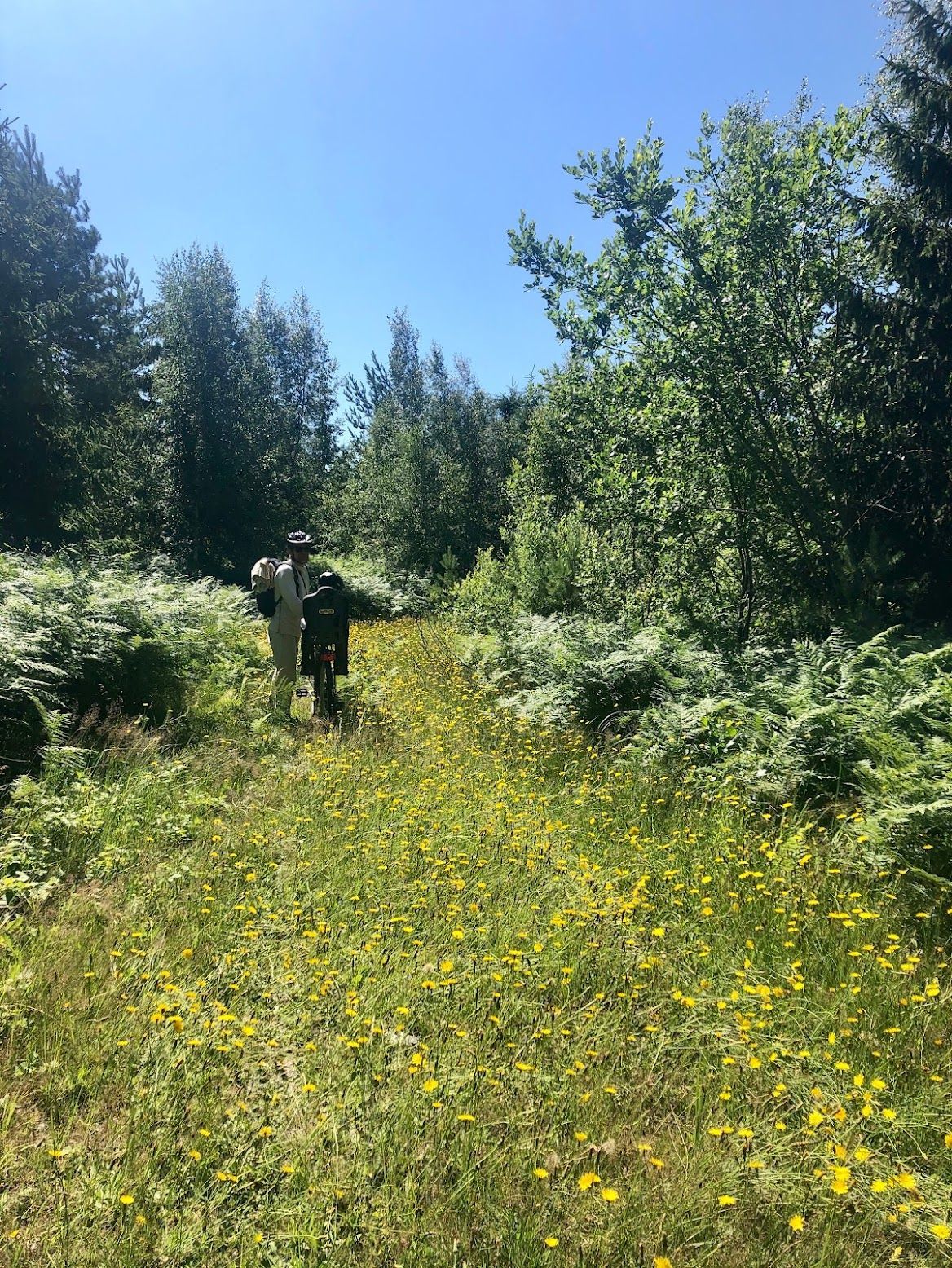Familjevänligt hus i Fröjel, nära Ekstakusten. – bild 18 av 19