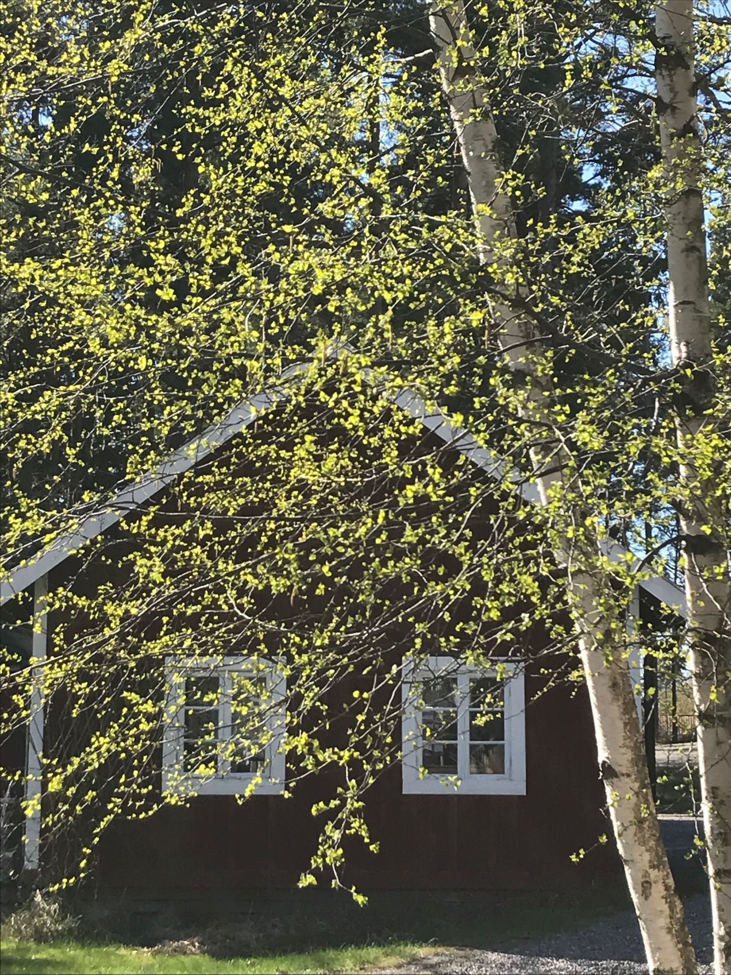 Stuga i vacker skärgårdsmiljö vaxholm – bild 6 av 24