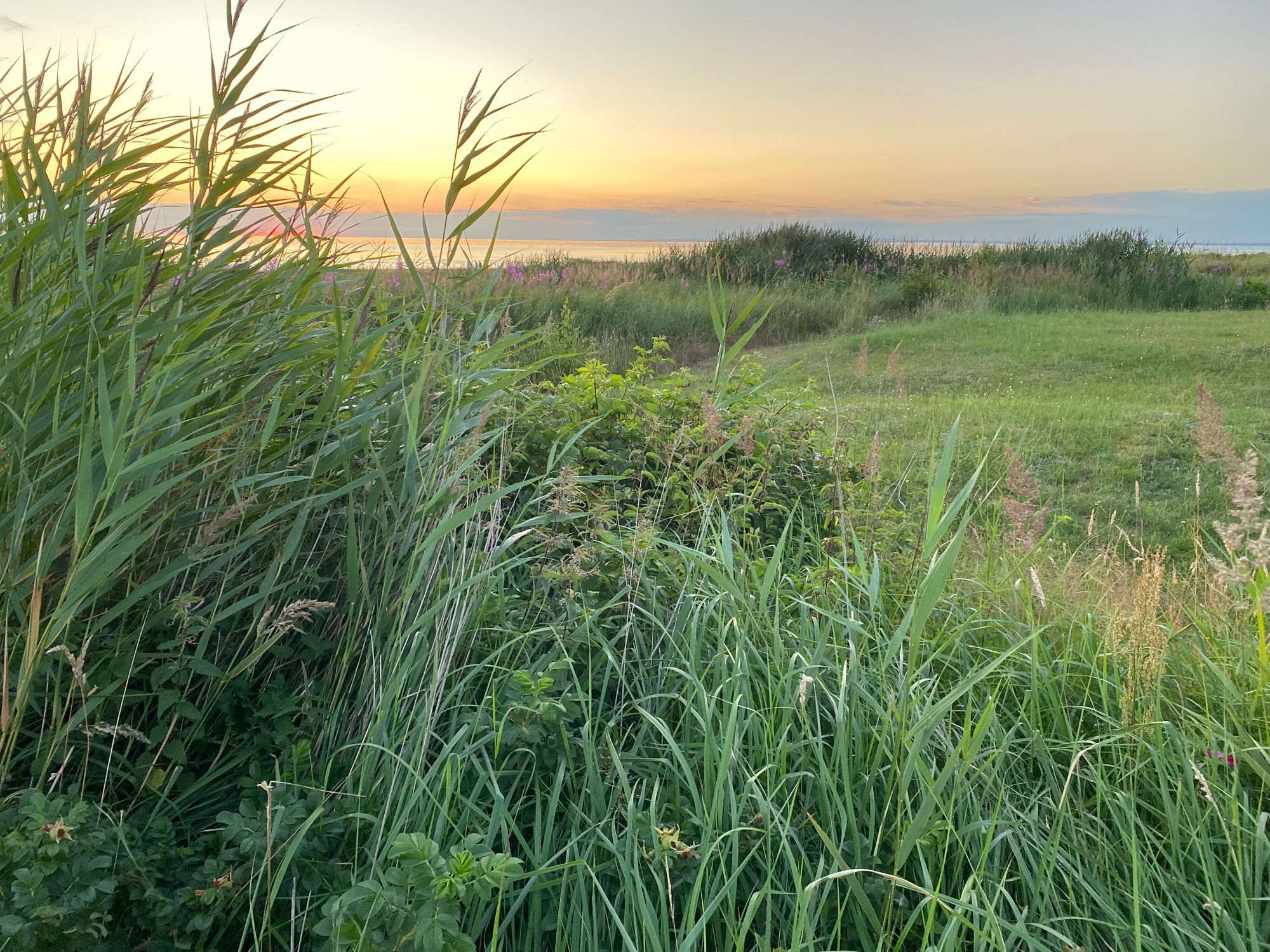 Strandnära stuga i Skummeslövsstrand – bild 19 av 24
