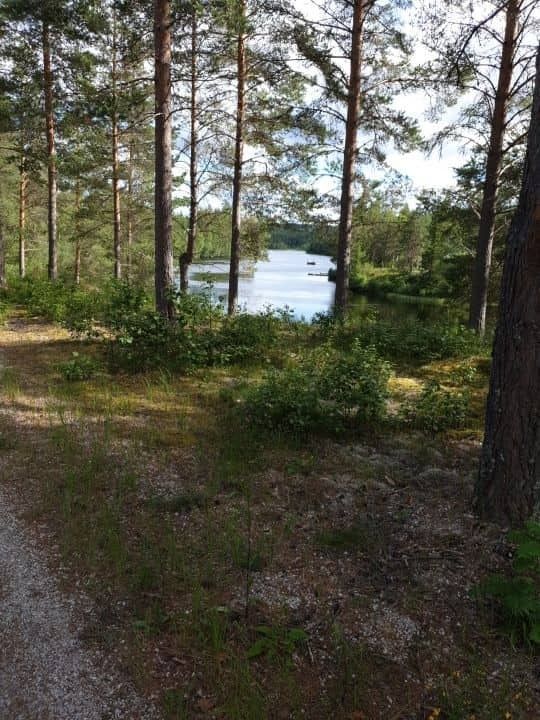 Skattungbyn, härlig stuga mitt i Orsafinnmark ! – bild 21 av 22