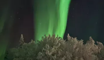 Mysig stuga med vedkamin