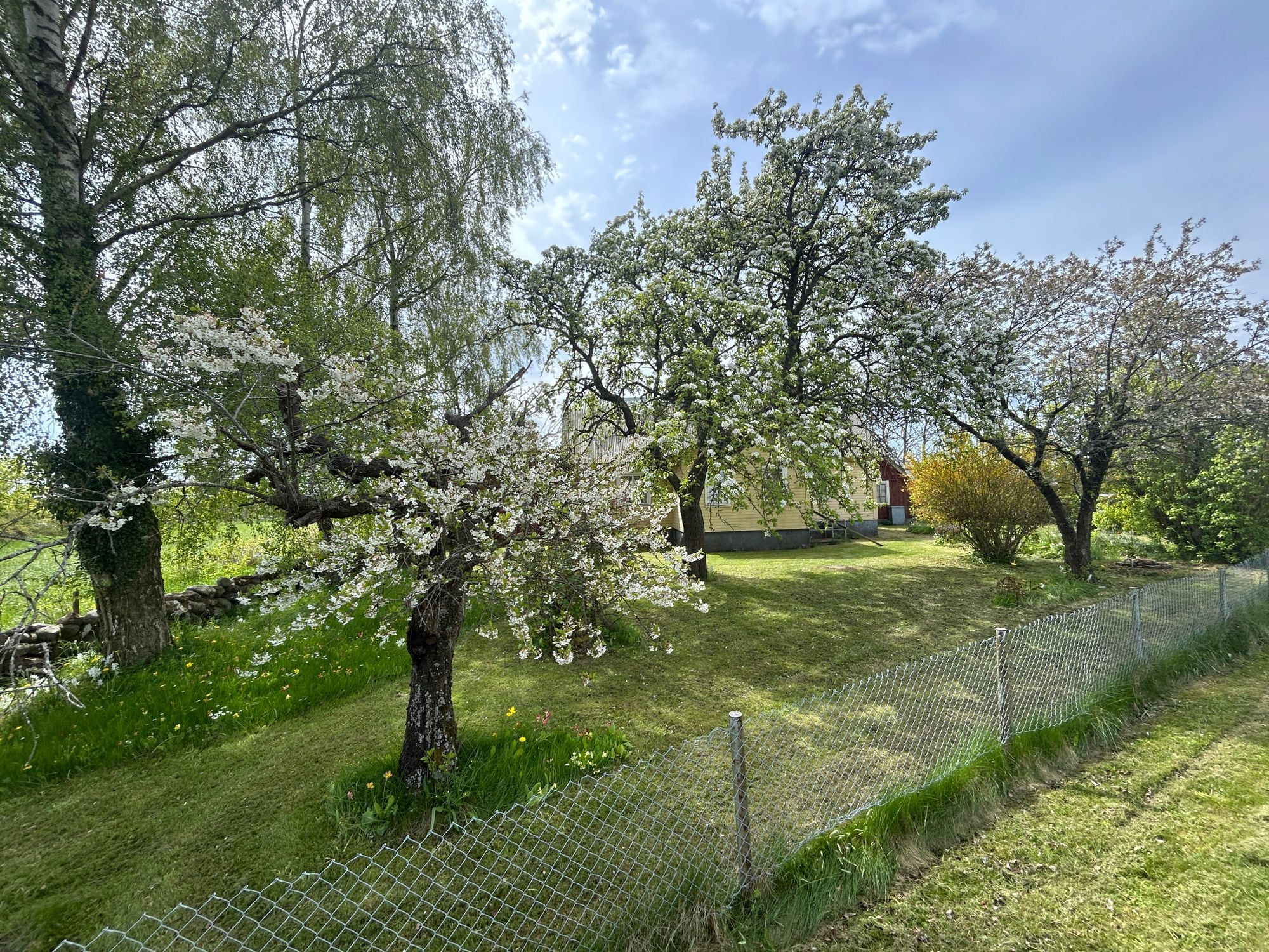 Charmigt sommarhus i Löt (Årets Ölandsby) – bild 9 av 24