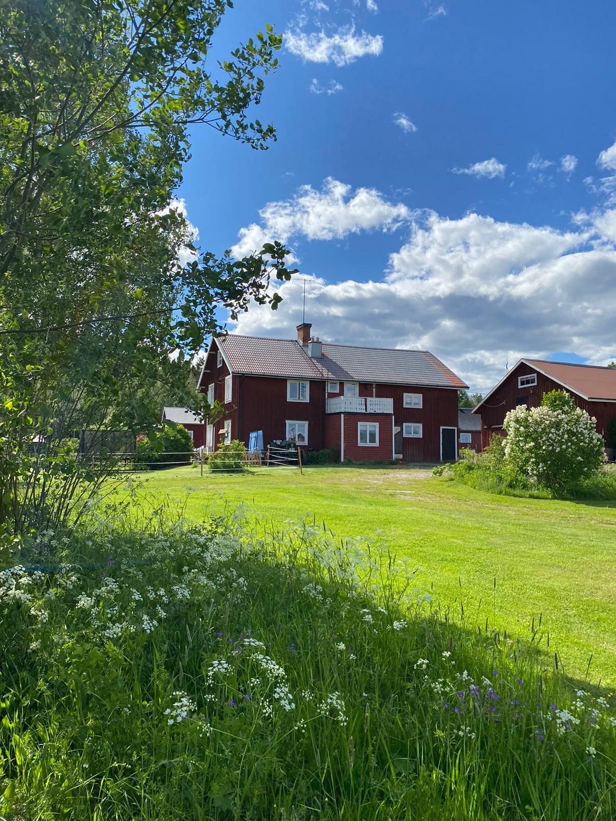 Mysigt och bekvämt hus nära Järvsö med sjöutsikt – bild 4 av 24